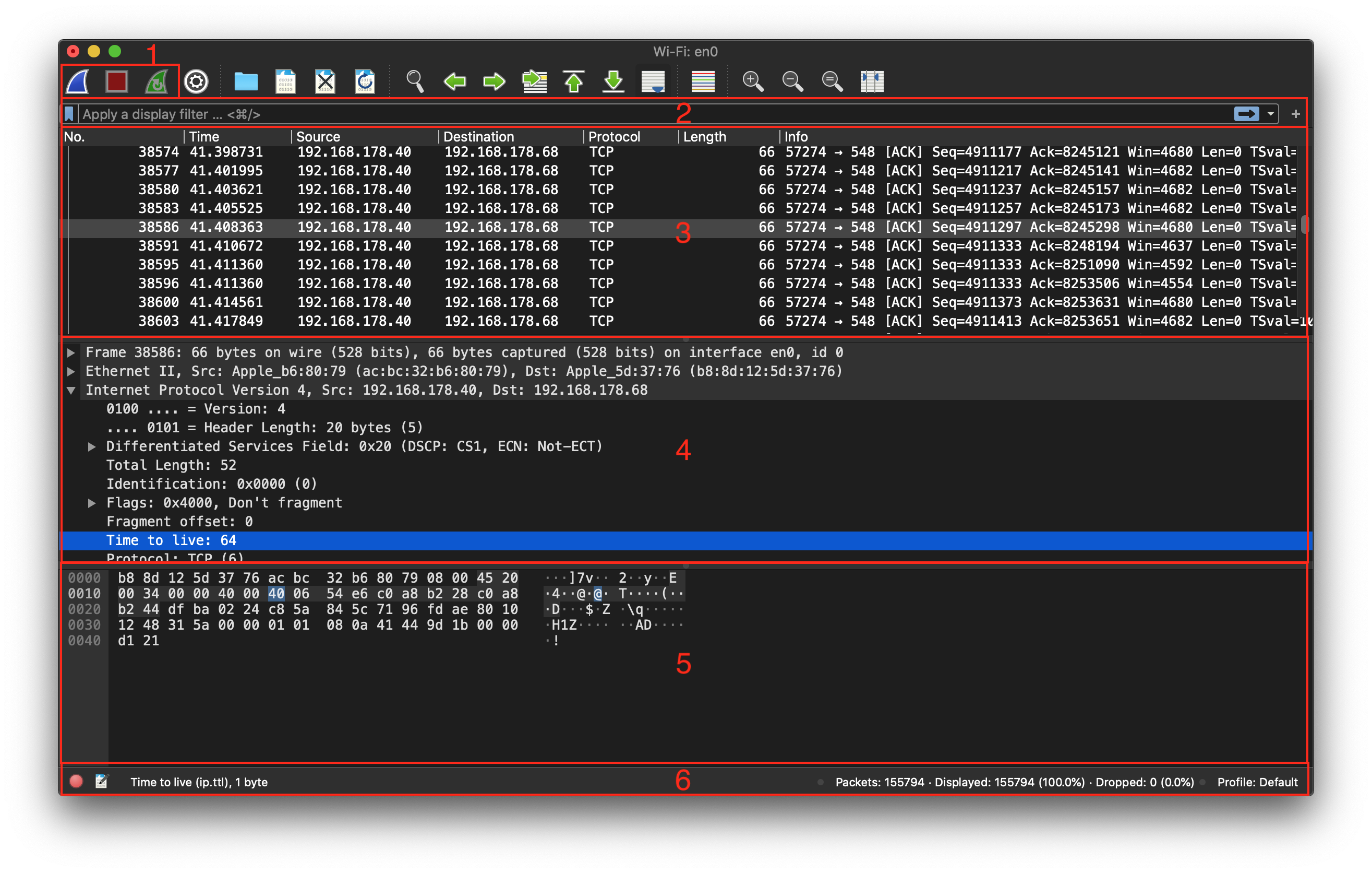 Wireshark Capture-Bildschirm
